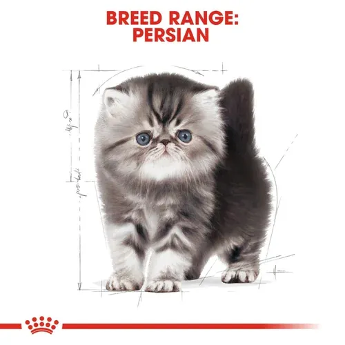 Royal Canin Persian Kitten Dry Food view 2