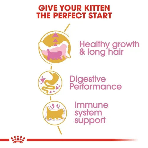 Royal Canin Persian Kitten Dry Food view 3
