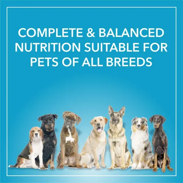 Purepet Chicken Vegetable Adult Dog Dry Food view 2