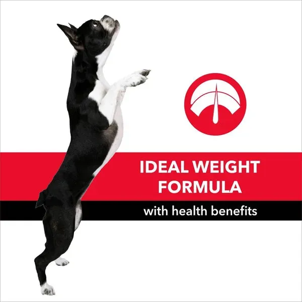 Purepet Meat Rice Adult Dog Dry Food view 2