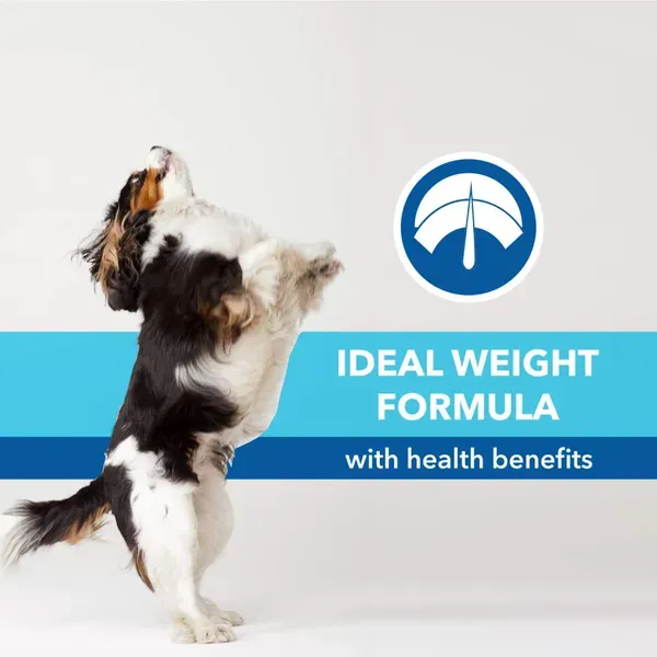 Purepet Chicken Vegetable Puppy Dog Dry Food view 4