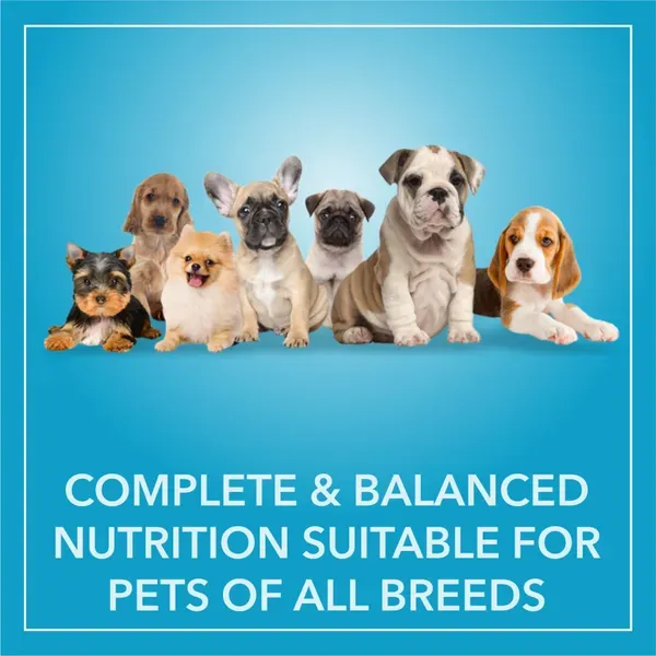 Purepet Chicken Vegetable Puppy Dog Dry Food view 2