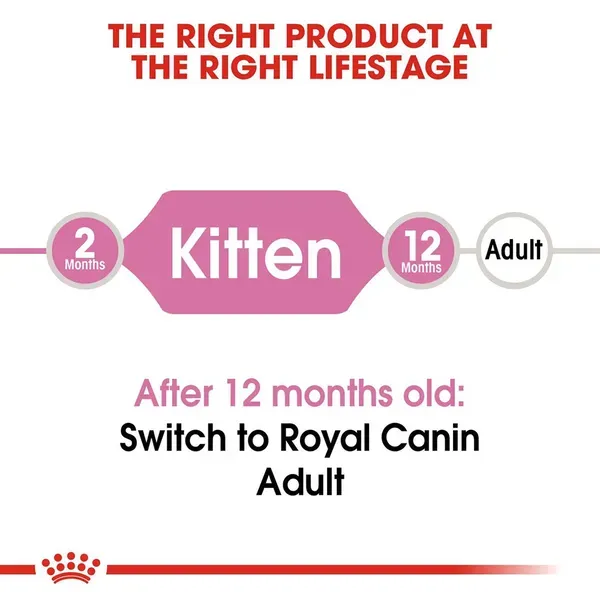 Royal Canin Kitten Dry Cat Food view 3
