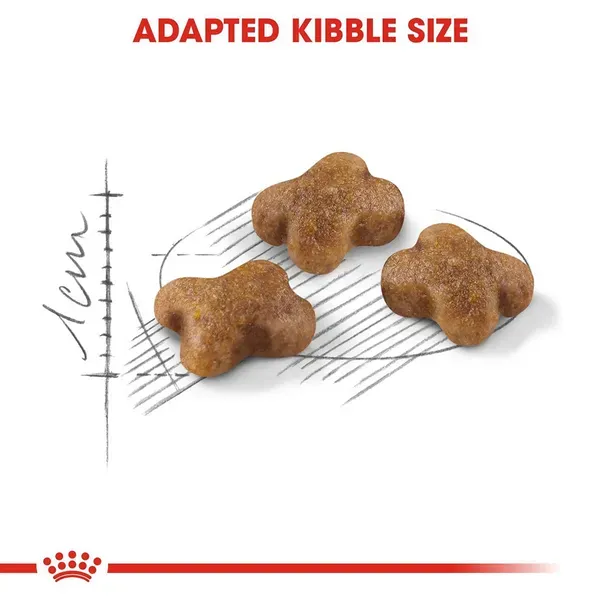 Royal Canin Kitten Dry Cat Food view 2