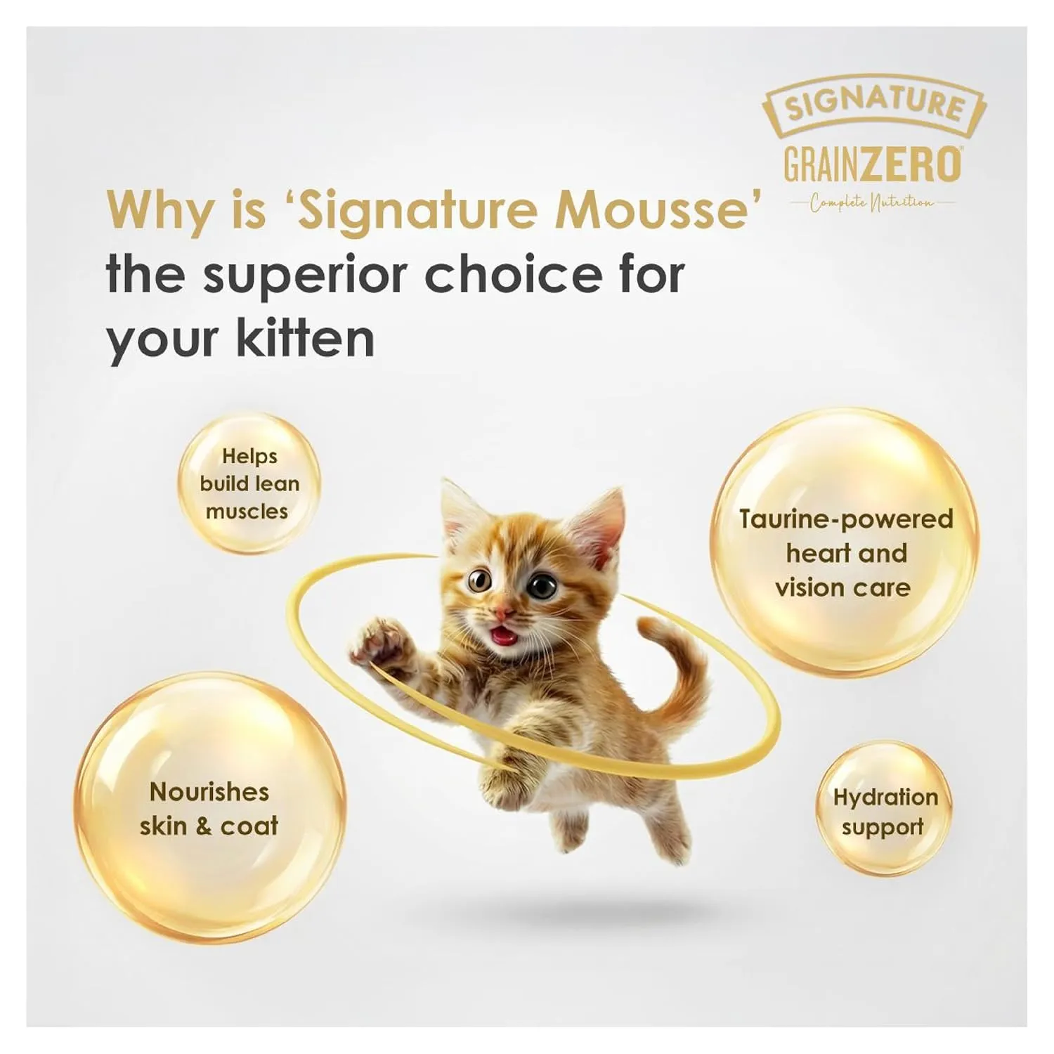 Signature Kitten Cat Mousse Salmon Wet Food view 4