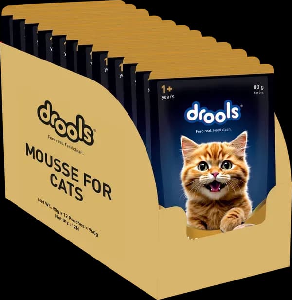 Drools Chicken Mousse Adult Cat Wet Food view 2
