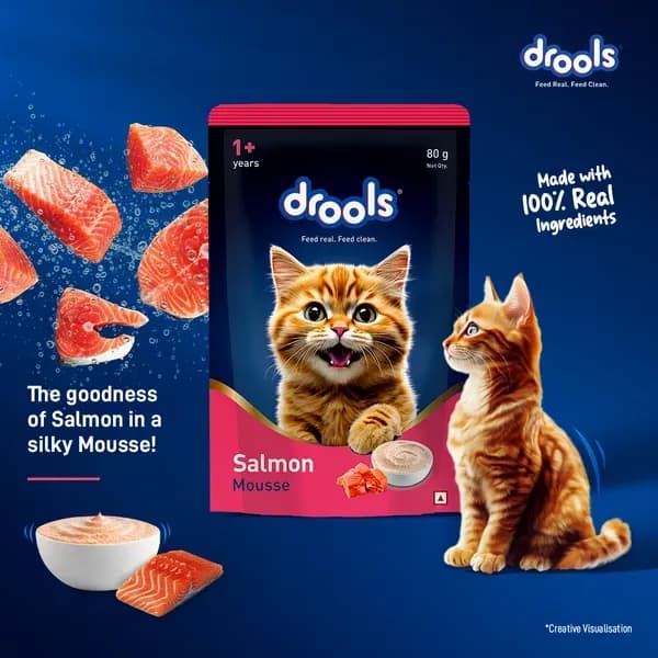 Drools Salmon Mousse Adult Cat Wet Food view 3