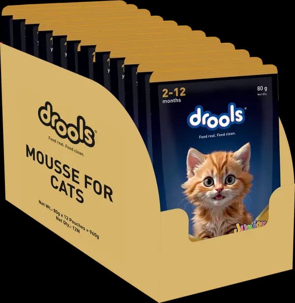Drools Chicken Mousse Kitten Cat Wet Food view 3