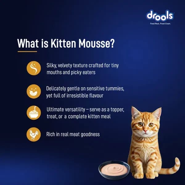 Drools Chicken Mousse Kitten Cat Wet Food view 2