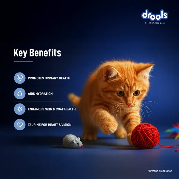 Drools Ocean Fish Mousse Kitten Cat Wet Food view 3