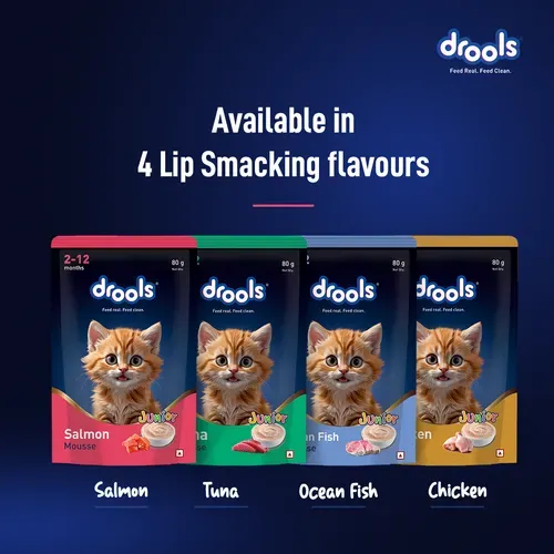 Drools Salmon Mousse Kitten Cat Wet Food view 4