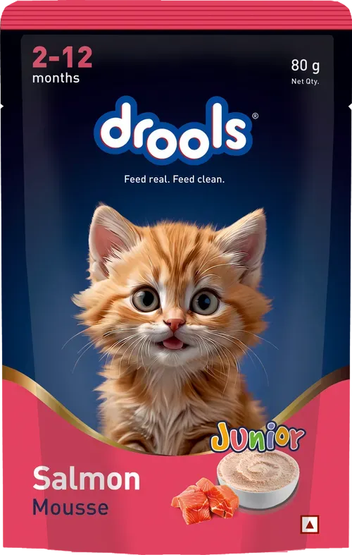 Drools Salmon Mousse Kitten Cat Wet Food view 2