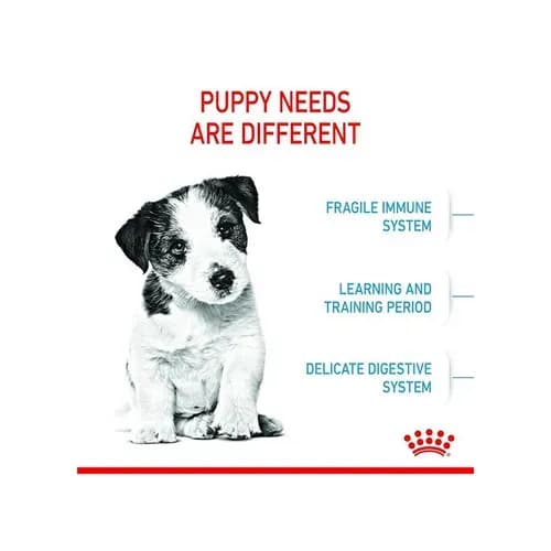 Royal Canin Mini Puppy Dog Dry Food view 3