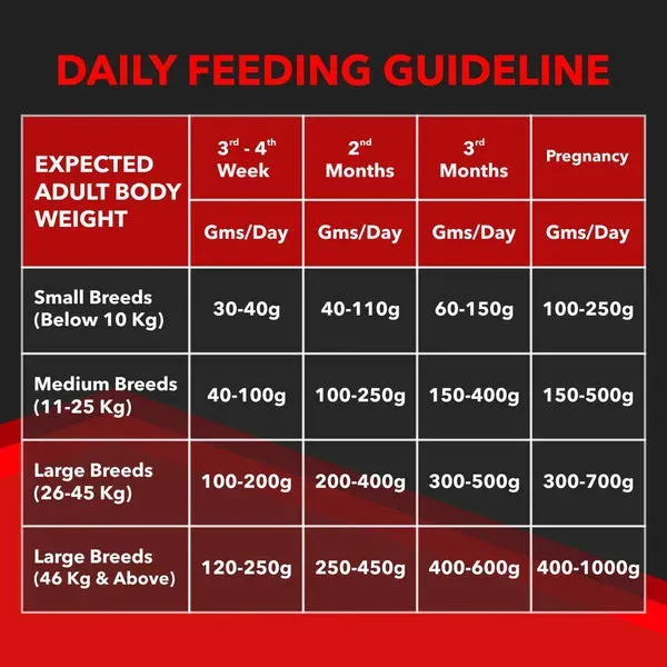 Drools Focus Super Starter Dog Corn Wheat Dry Food view 4