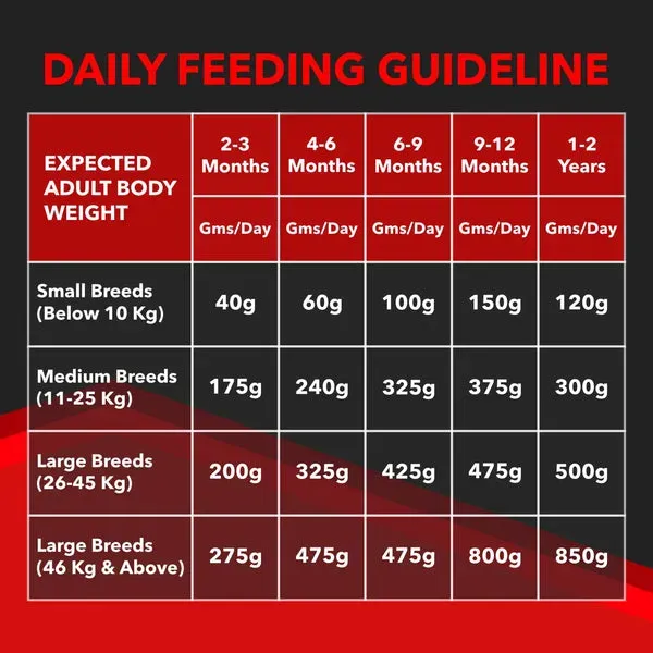 Drools Focus Super Puppy Dog Corn Wheat Dry Food view 2