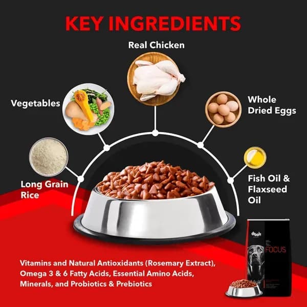 Drools Focus Super Adult Dog Corn Wheat Dry Food view 4
