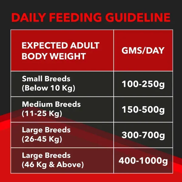 Drools Focus Super Adult Dog Corn Wheat Dry Food view 2
