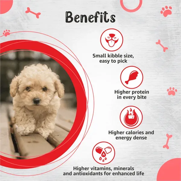 Drools Small Puppy Dog Dry Food view 4