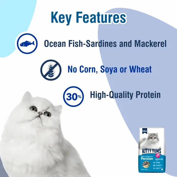 Kitty Yums Ocean Fish Persian Cat Dry Food view 3
