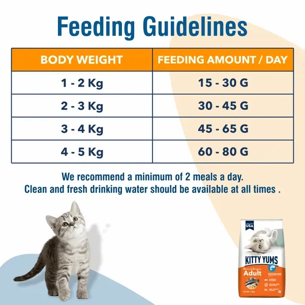 Kitty Yums Ocean Fish Adult Cat Dry Food view 3