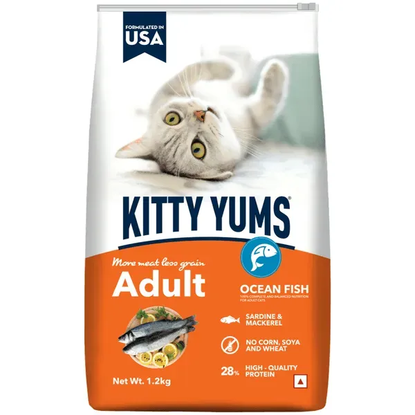 Kitty Yums Ocean Fish Adult Cat Dry Food view 2