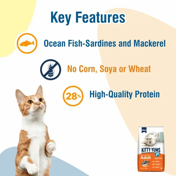 Kitty Yums Ocean Fish Adult Cat Dry Food view 4