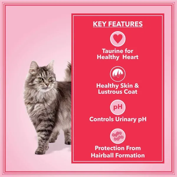 Let S Bite Active Adult Ocean Fish Cat Dry Food view 3