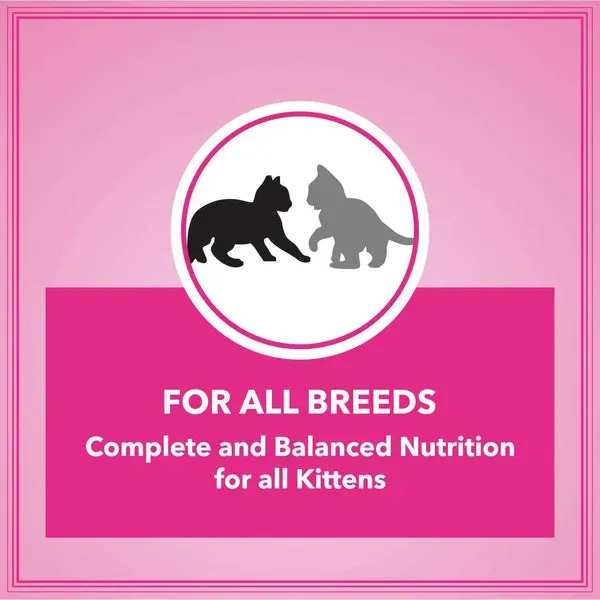 Let S Bite Active Kitten Ocean Fish Cat Dry Food view 4