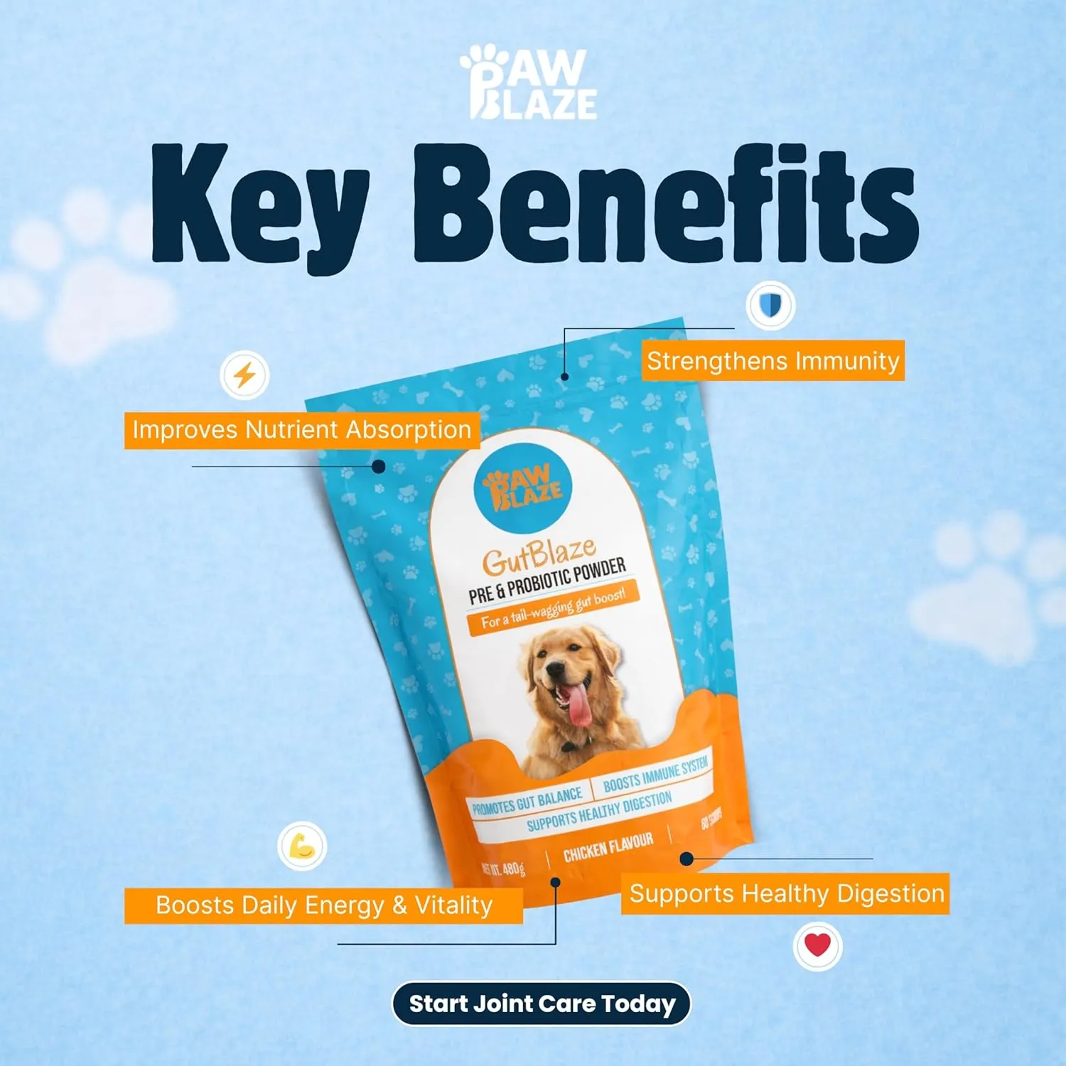 Paw Blaze Gutblaze Pre Probiotic Powder Dogs Supplement view 3
