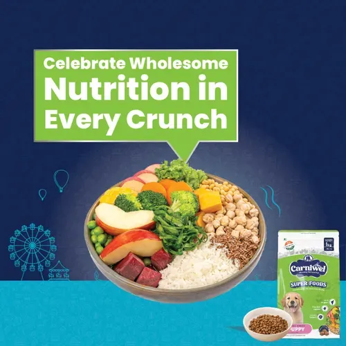 Carniwel Superfoods Veg Kibble Large Puppy Dog Dry Food view 3