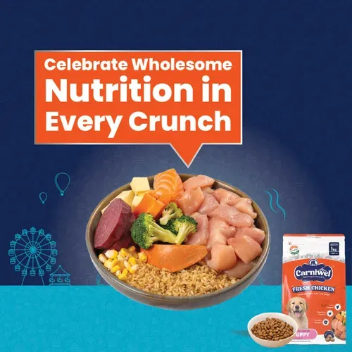 Carniwel Chicken Kibble Large Puppy Dog Dry Food view 3
