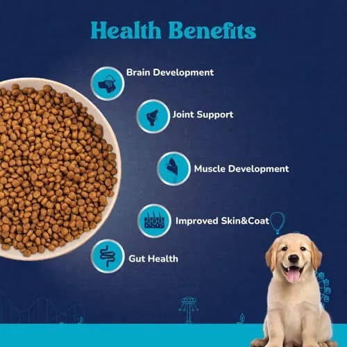 Carniwel Chicken Kibble Large Puppy Dog Dry Food view 4