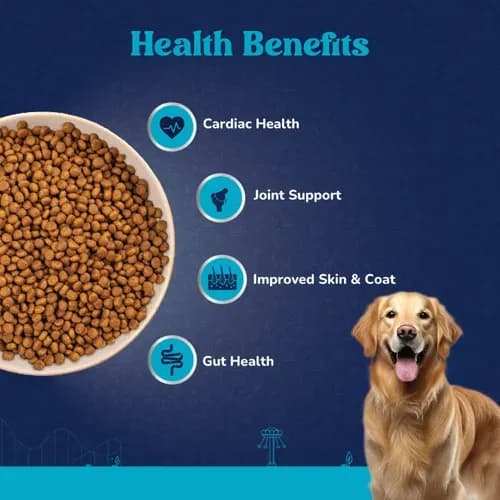 Carniwel Chicken Kibble Large Adult Dog Dry Food view 3