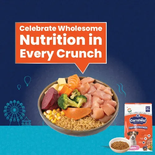 Carniwel Chicken Kibble Small Puppy Dog Dry Food view 2