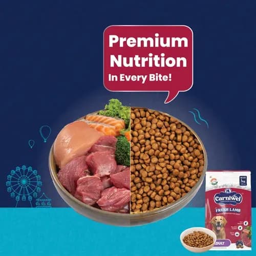 Carniwel Lamb Large Adult Dog Dry Food view 2