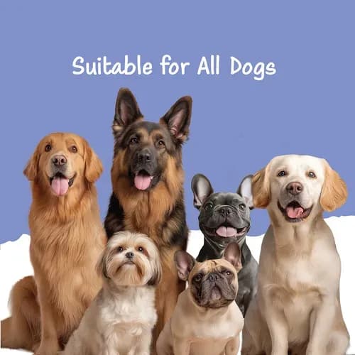 Fullr Mobility Chewy Stick Dog Treats view 3