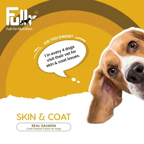 Fullr Skin Coat Cold Pressed Dog Treats view 3