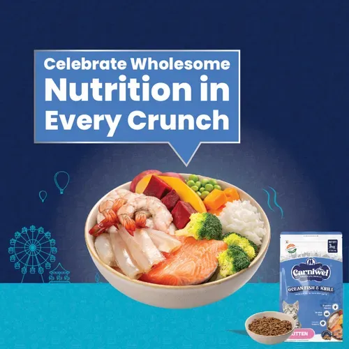 Carniwel Ocean Fish Krill Kitten Cat Dry Food view 2