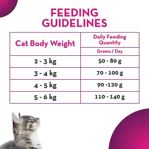 Maxi Adult Ocean Fish Adult Dry Cat Food view 4