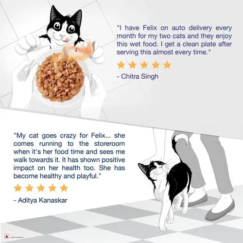 Purina Felix with Mackerel in Jelly Adult Wet Cat Food view 4