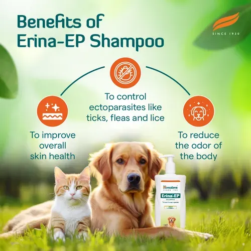 Himalaya Erina EP Tick and Flea Shampoo for Dogs and Cats view 4