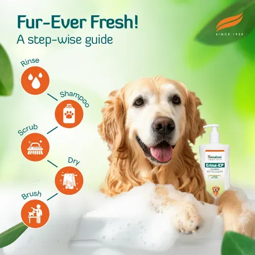 Himalaya Erina EP Tick and Flea Shampoo for Dogs and Cats view 3