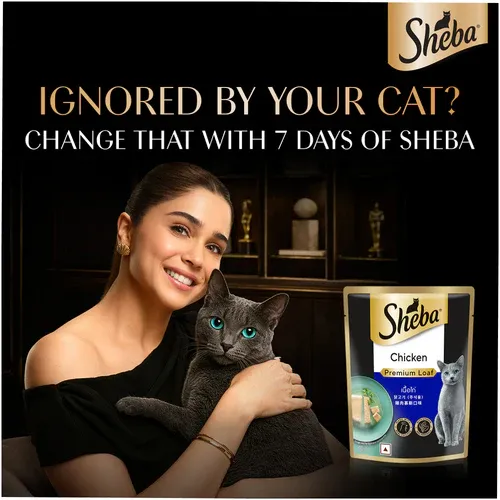 Sheba Chicken Loaf Rich Premium Adult Wet Cat Food view 4
