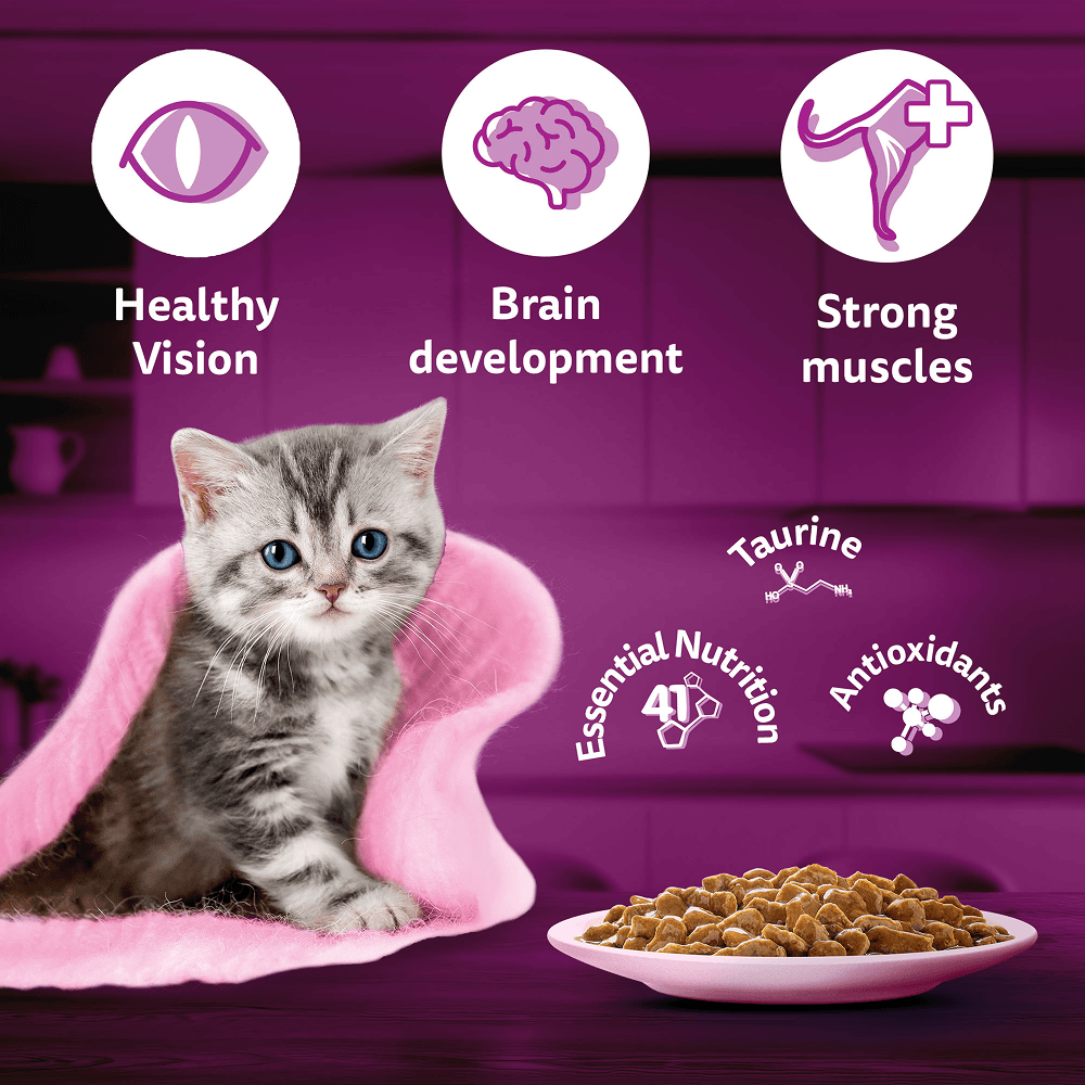 Whiskas Tuna in Jelly Kitten Cat Wet Food (80g) view 3