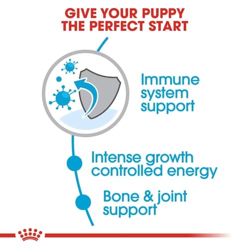 Royal Canin Giant Puppy Dry Dog Food view 3