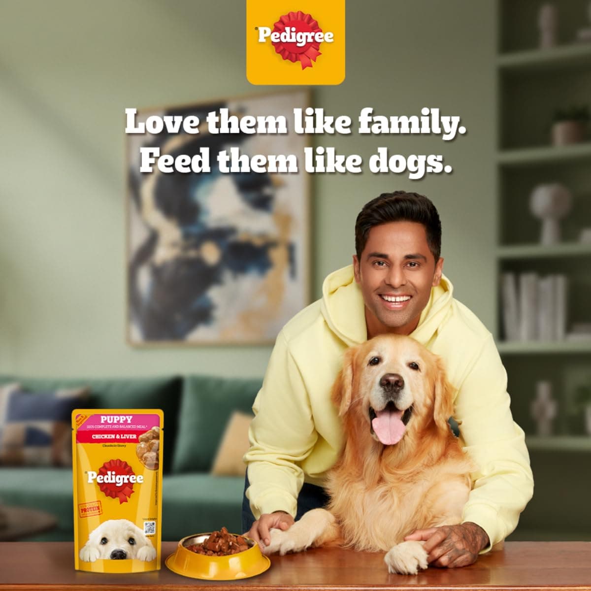 Pedigree Puppy Chicken Liver Gray Dry Food view 2