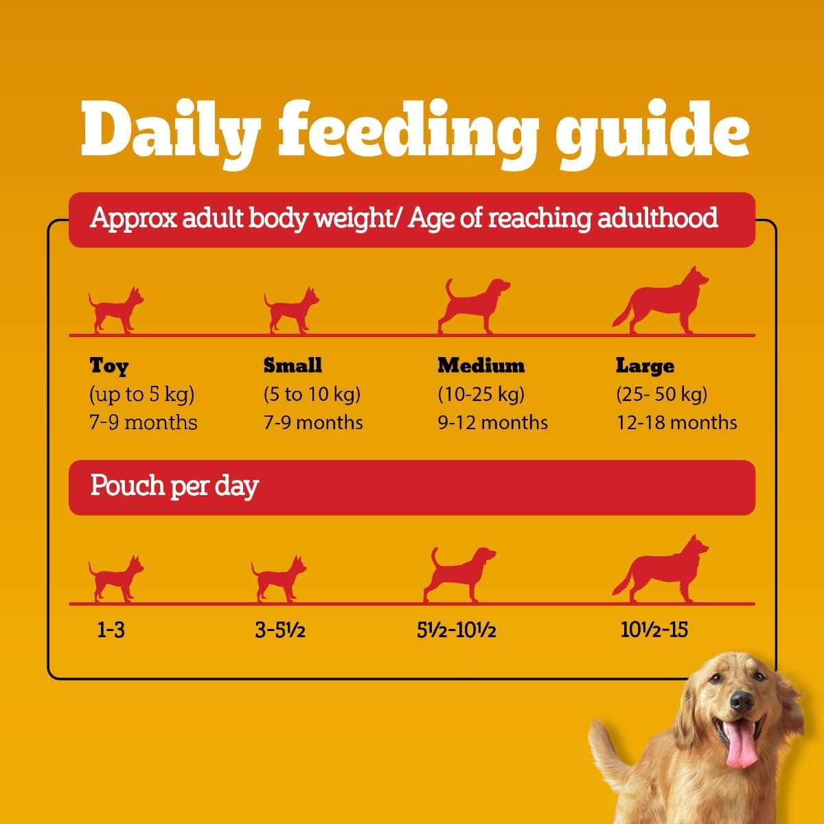 Pedigree Adult Roasted Lamb Gray Dry Food view 3