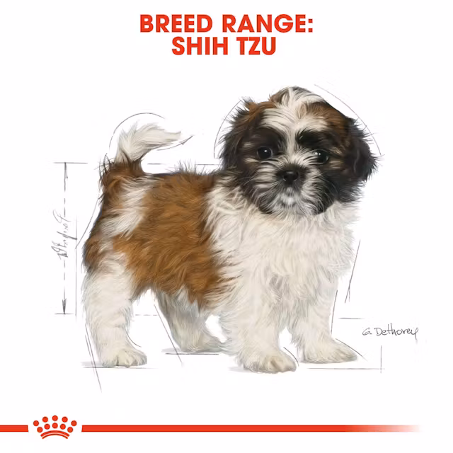 Royal Canin Shih Tzu Puppy Dry Food view 3