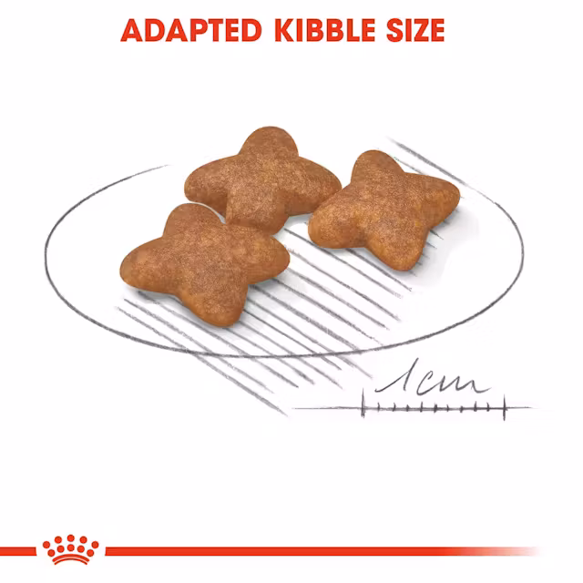 Royal Canin Mini Adult Small Dry Food view 2