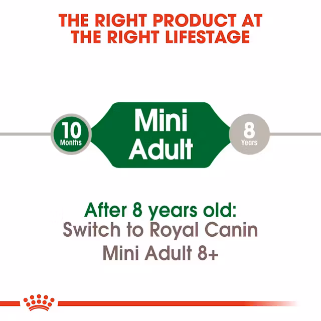 Royal Canin Mini Adult Small Dry Food view 4